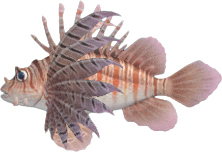 Animal Crossing Zebra Turkeyfish Image