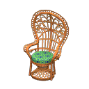 Peacock chair Brown & green