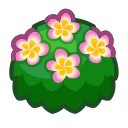 Animal Crossing Pink-plumeria bush Image