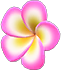 Animal Crossing Pink plumeria hairpin Image