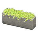 Plant partition Concrete