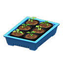 Potted starter plants Blue