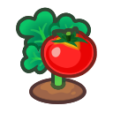 Animal Crossing Ripe tomato plant Image