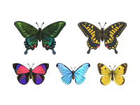 ACNH Butterfly Theme Room Ideas