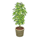 Animal Crossing Schefflera|Beige Image