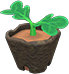 Animal Crossing Seed potato Image