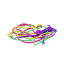 Tangled cords Colorful