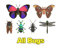 All Bugs
