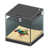 mantis shrimp