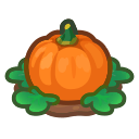 Animal Crossing ripe orange-pumpkin plant Image