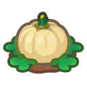 Animal Crossing ripe white-pumpkin plant Image