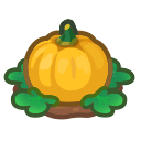 Animal Crossing ripe yellow-pumpkin plant Image
