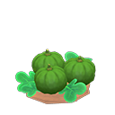 Animal Crossing s. green-pumpkin sprout Image