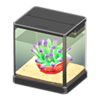 sea anemone