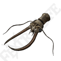 Great Dragonfly Head *999