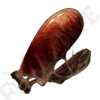 Land Octopus Ovary *999