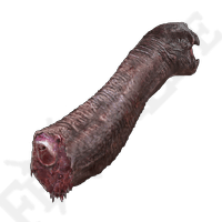 Turtle Neck Meat *999