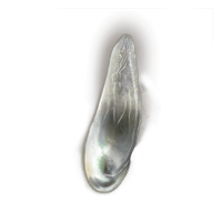 Pearlescent Scale *999