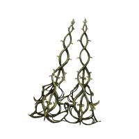 Retaliatory Crossed-Tree