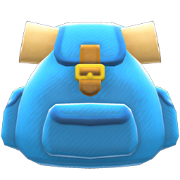 Traveler's Backpack