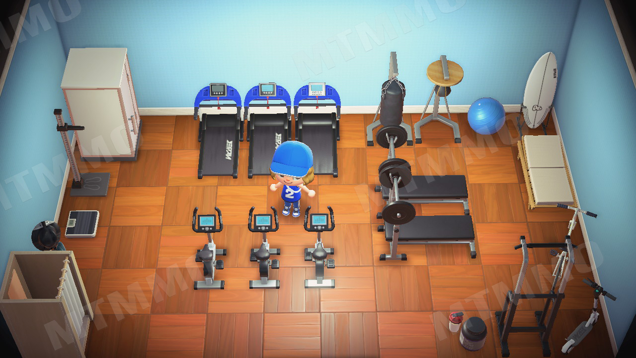 Animal Crossing Gym Image
