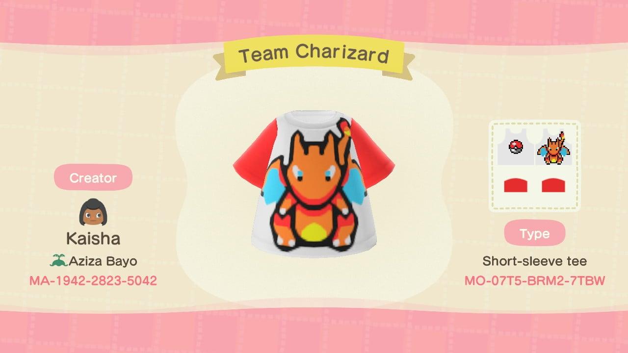 Animal Crossing Design Code: MO-07T5-BRM2-7TBW Team Charizard