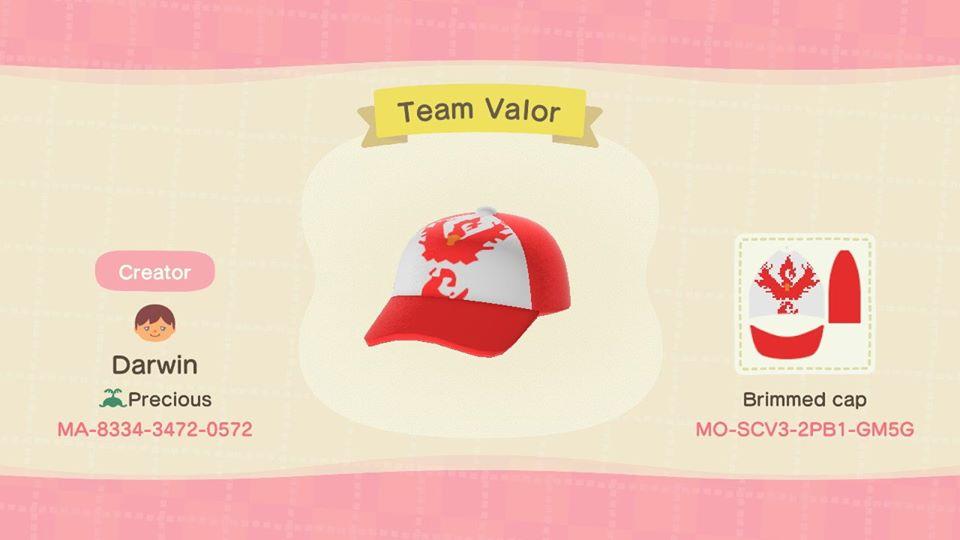 Animal Crossing Design Code: MO-SCV3-2PB1-GM5G Team Valor