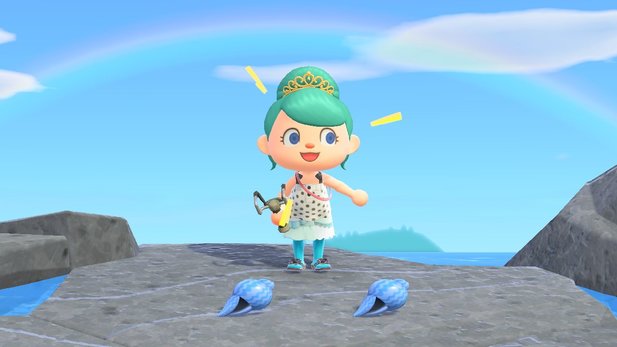 Animal Crossing New Horizons Summer Shells