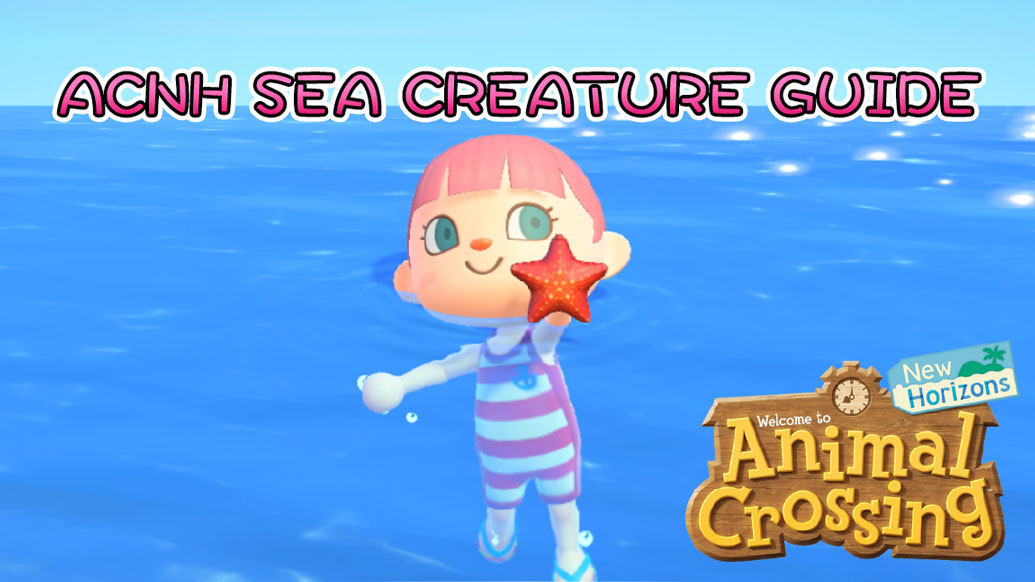 ACNH Sea Creature Guide