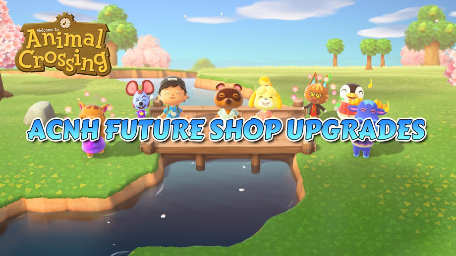 Animal Crossing shop upgrade