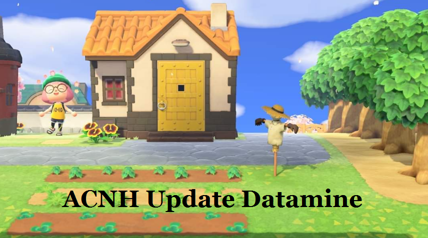 ACNH update datamine