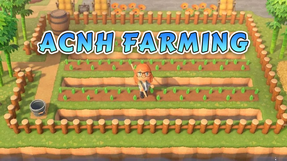 ACNH Vegetables Growing, Picking & Cooking - Animal Crossing New