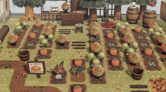 acnh pumpkin patch 3