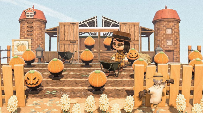 acnh pumpkin patch 9