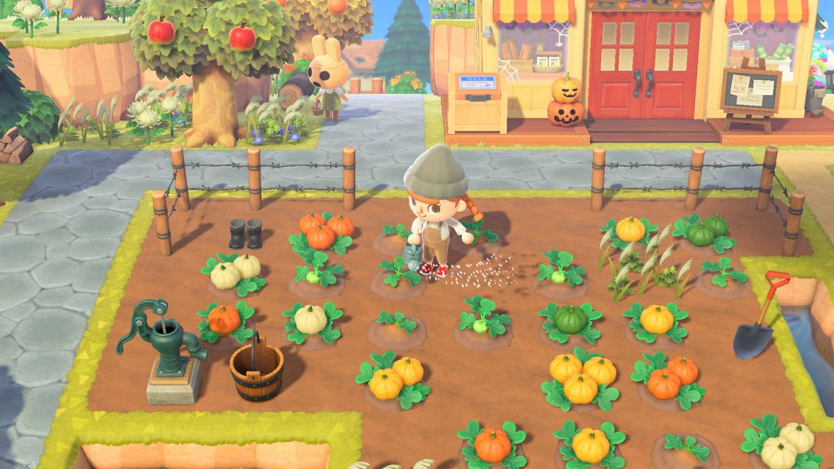 Animal Crossing New Horizons Pumpkin Farming & Growing - ACNH Halloween Update