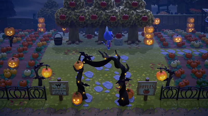 Halloween Pumpkin Patch 8