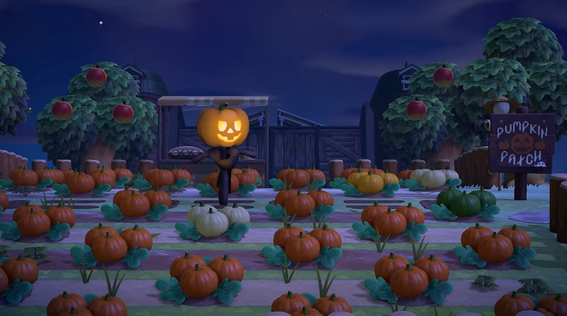 Halloween pumpkin patch spooky island 10