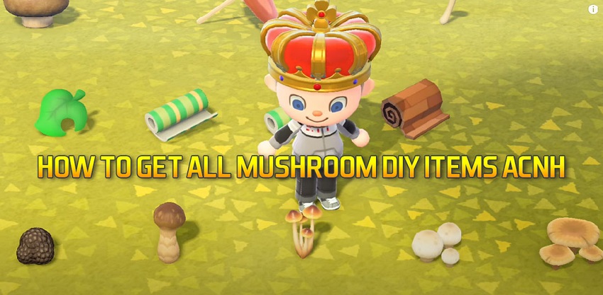 HOW TO GET ALL MUSHROOM DIY ITEMS ACNH