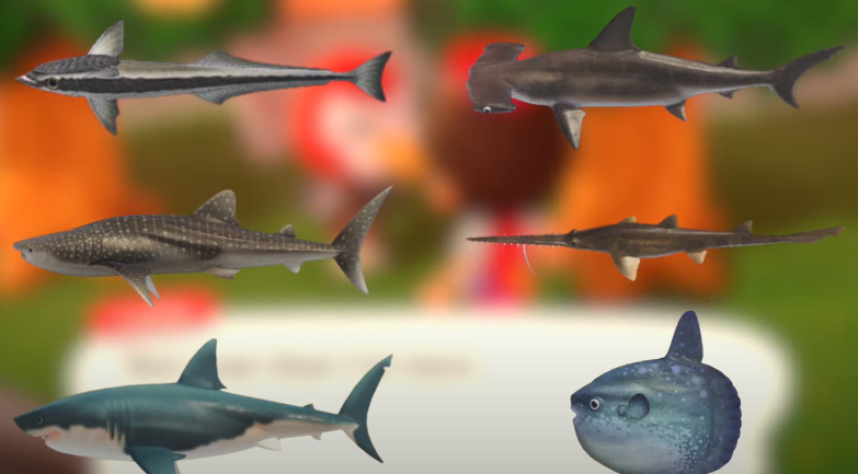 ACNH Shark Season 2021 Update - How To Catch Sharks In Summer Animal  Crossing New Horizons