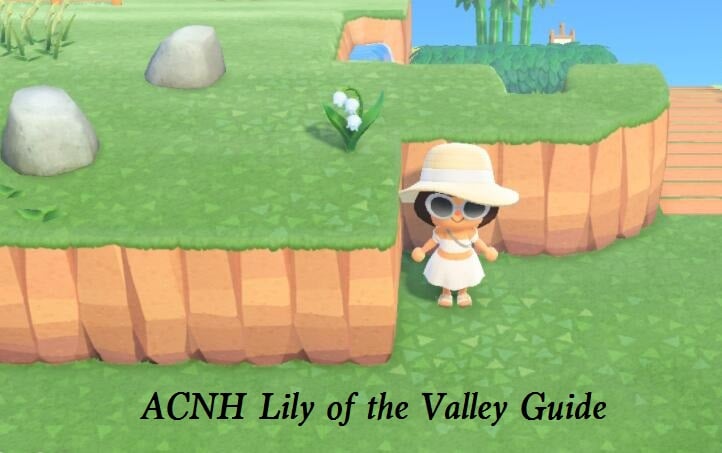 ACNH Lily of the Valley Guide: Price, Colors, Spawn Rate