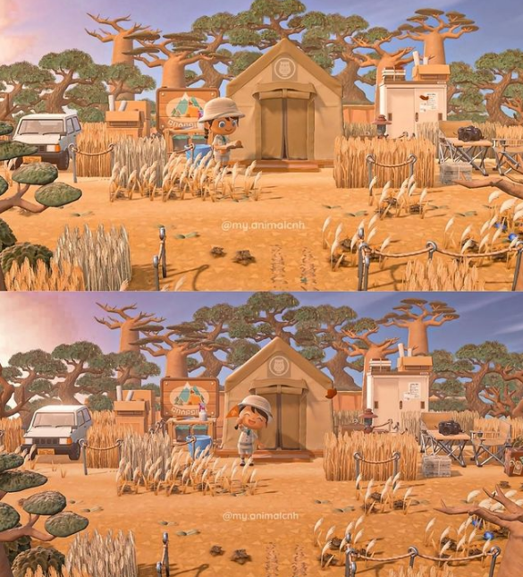 ACNH Safari