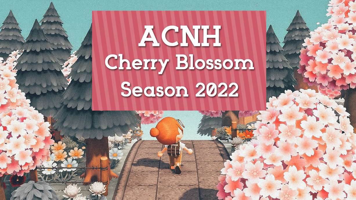 ACNH Cherry Blossom Season Guide 2022