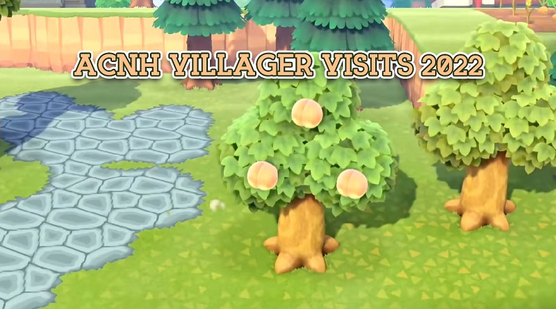 ACNH VILLAGER VISITS Guide 2022